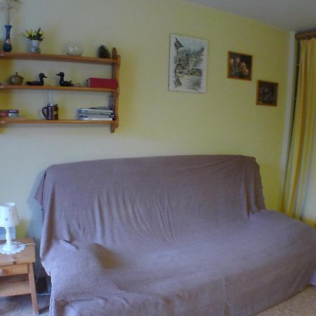 Studio Cosy Au Centre De Samoens Avec Parking Privatif - Fr-1-629-118 Екстер'єр фото